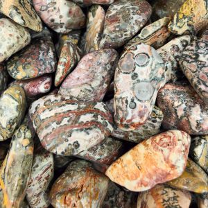 Leopardskin Jasper Tumble Stone