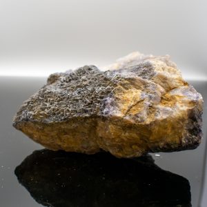 Millers Vein 2021 Variant MVN65