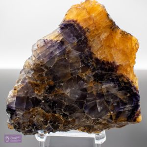 Witchs Millers Vein MV27