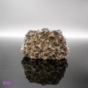 Millers Vein MV39