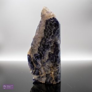Witchs Millers Vein MV42