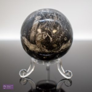 Orthocerus fossil Sphere