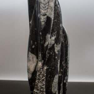 Large Polished Orthocerus Sculpture