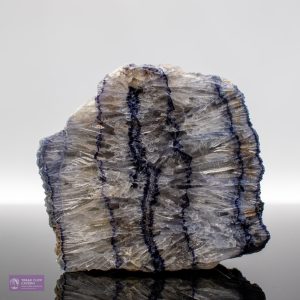 Witchs Millers Vein UV reactive